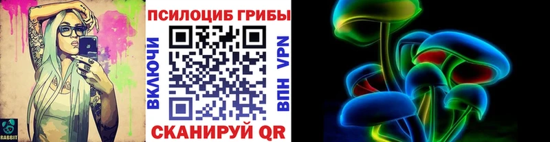 Псилоцибиновые грибы ЛСД  где найти   ссылка на мегу зеркало  Новосокольники 
