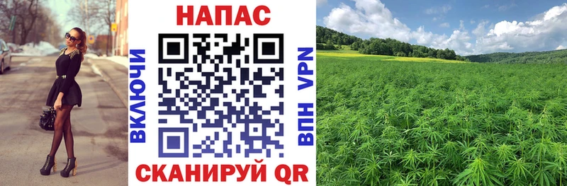 Конопля Ganja  блэк спрут зеркало  Новосокольники 